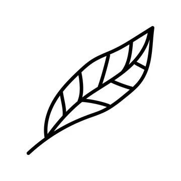Hand drawn vector doodle illustration, abstract handwriting Stock Illustration