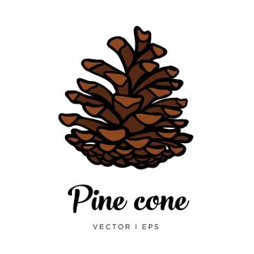 Hand drawn vector editable pine cone simple illustration. Christmas decor con Illustrazione stock
