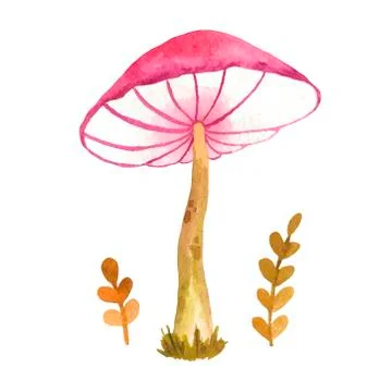 Hand drawn vector EPS 10 mushroom. Stock Illustration