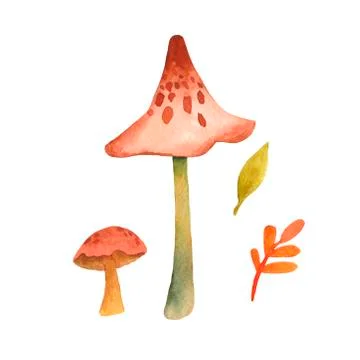Hand drawn vector EPS 10 mushrooms. Stock Illustration