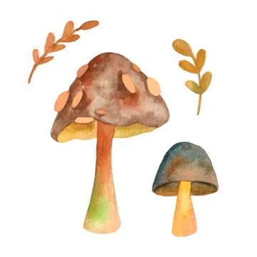 Hand drawn vector EPS 10 mushrooms. Stock Illustration