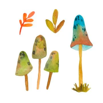 Hand drawn vector EPS 10 mushrooms. Stock Illustration