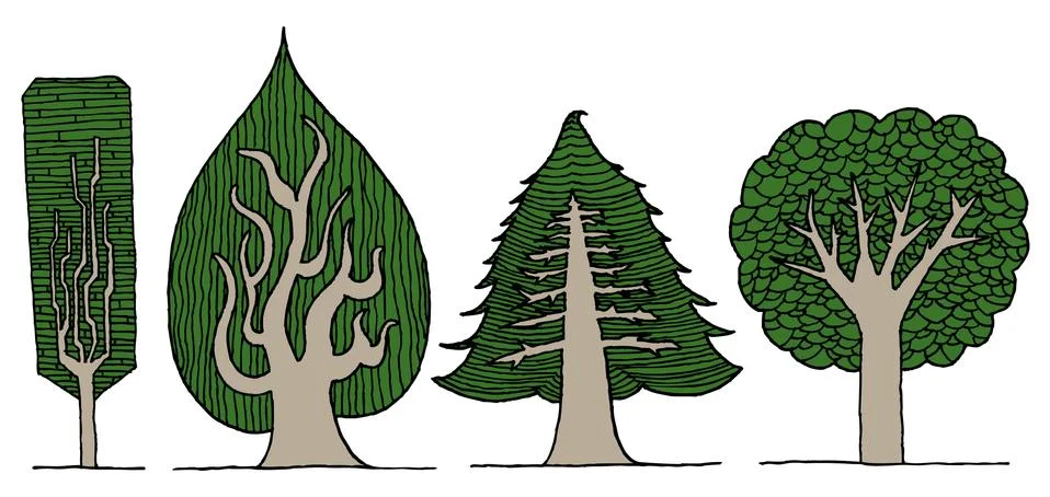 Hand drawn vector exotic tree set Stock Illustration