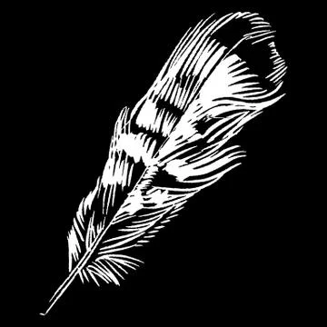 Hand-drawn vector feather, ink handpicked Illustrazione stock