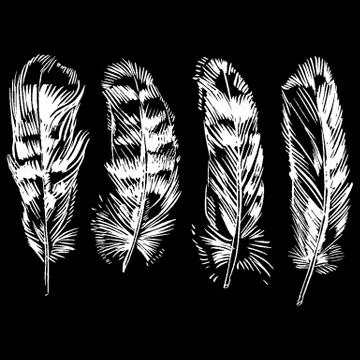 Hand-drawn vector feather, ink handpicked イラスト素材