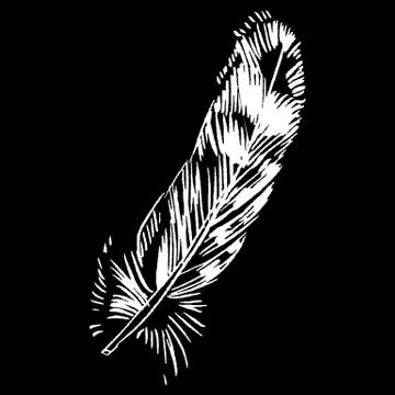 Hand-drawn vector feather, ink handpicked Stock Illustration