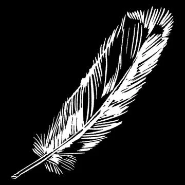 Hand-drawn vector feather, ink handpicked Stock Illustration