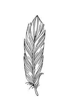 Hand drawn vector feathers in boho style. Isolated on white background. Stock Illustration