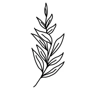 Hand drawn vector flower drawing. Decorative elements for design. Isolated on a Stock Illustration