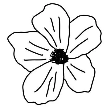 Hand drawn vector flower drawing. Decorative elements for design. Isolated on a Stock Illustration