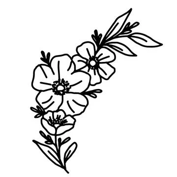 Hand drawn vector flower drawing. Decorative elements for design. Isolated on a Stock Illustration