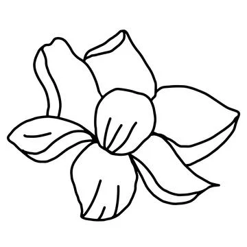Hand drawn vector flower drawing. Decorative elements for design. Isolated on a Stock Illustration