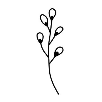 Hand drawn vector flower drawing. Decorative elements for design. Isolated on a Stock Illustration