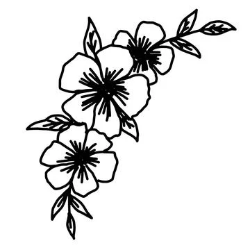 Hand drawn vector flower drawing. Decorative elements for design. Isolated on a Stock Illustration