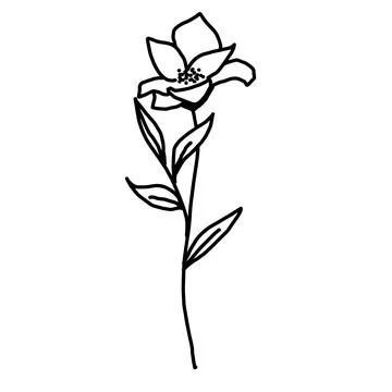 Hand drawn vector flower drawing. Decorative elements for design. Isolated on a Stock Illustration