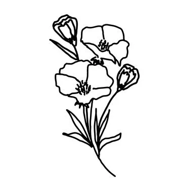 Hand drawn vector flower drawing. Decorative elements for design. Isolated on a Stock Illustration