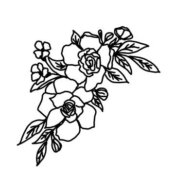 Hand drawn vector flower drawing. Decorative elements for design. Isolated on a Stock Illustration