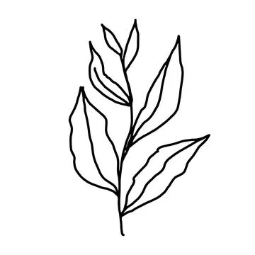 Hand drawn vector flower drawing. Decorative elements for design. Isolated on a Illustrazione stock
