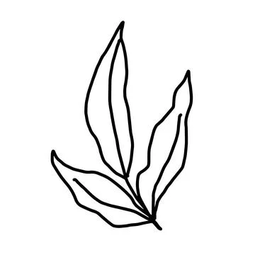 Hand drawn vector flower drawing. Decorative elements for design. Isolated on a Stock Illustration