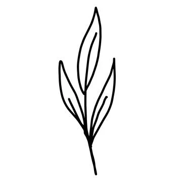 Hand drawn vector flower drawing. Decorative elements for design. Isolated on a Stock Illustration