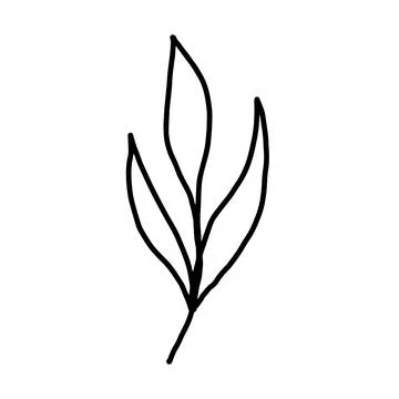 Hand drawn vector flower drawing. Decorative elements for design. Isolated on a Stock Illustration