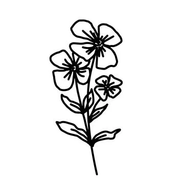 Hand drawn vector flower drawing. Decorative elements for design. Isolated on a Stock Illustration