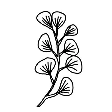 Hand drawn vector flower drawing. Decorative elements for design. Isolated on a Stock Illustration