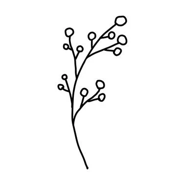 Hand drawn vector flower drawing. Decorative elements for design. Isolated on a Stock Illustration