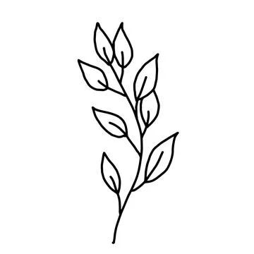 Hand drawn vector flower drawing. Decorative elements for design. Isolated on a Stock Illustration