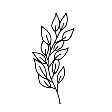 Hand drawn vector flower drawing. Decorative elements for design. Isolated on a Stock Illustration