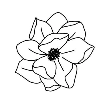 Hand drawn vector flower drawing. Decorative elements for design. Isolated on a Stock Illustration