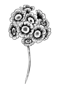 Hand drawn vector flower Stock Illustration
