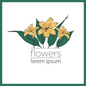 Hand drawn vector flower illustration Stock Illustration