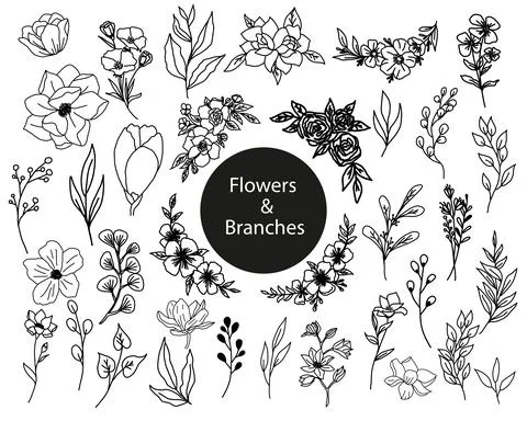 Hand drawn vector flowers set drawing. Decorative elements for design. Isolated イラスト素材