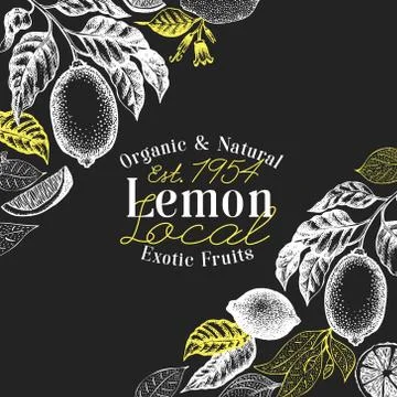 Hand drawn vector fruit illustration on chalk board. Lemon fruit and branch Illustrazione stock