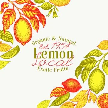 Hand drawn vector fruit illustrations. Lemon fruit and branch banner template Stock Illustration