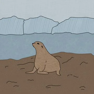 Hand drawn vector fur seal illustration. Cartoon outline animal of Antarctica on Stock Illustration