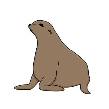 Hand drawn vector fur seal illustration. Cartoon outline isolated animal of Stock Illustration