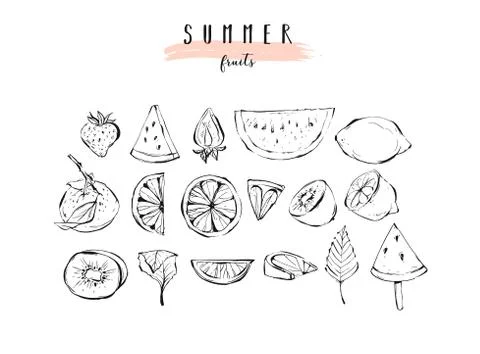 Hand drawn vector graphic summer fruits icons illustration collection set with Stock Illustration