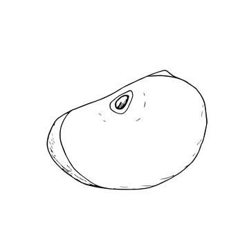 Hand drawn vector illustration of an apple slice. Outline drawing in ink Stock Illustration