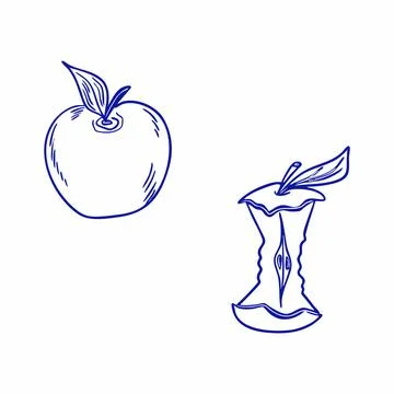 Hand drawn vector illustration of an apple and an apple core. Doodle set, blu Stock Illustration