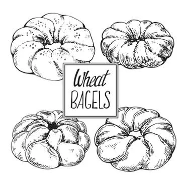Hand drawn vector illustration of bagels with lettering for menu, decor Stock Illustration