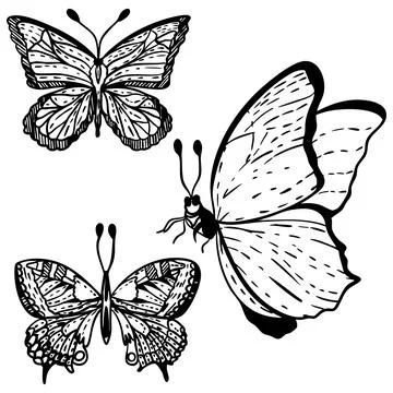 Hand drawn vector illustration of beautiful butterflies of different sizes,.. Ilustração Stock