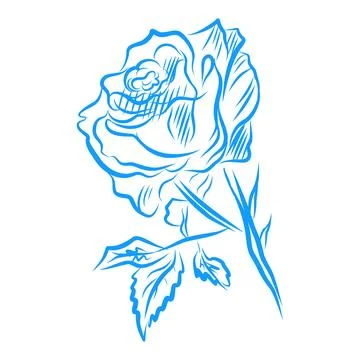 Hand drawn vector illustration, beautiful flowers, blue line art Illustrazione stock