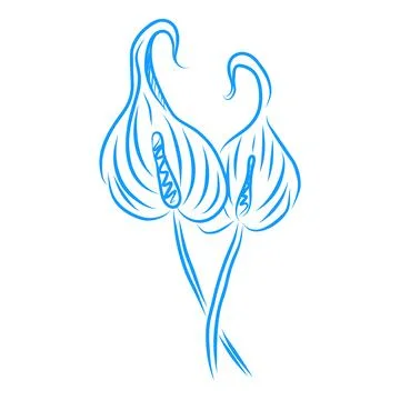 Hand drawn vector illustration, beautiful flowers, blue line art Illustration