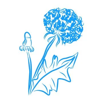 Hand drawn vector illustration, beautiful flowers, blue line art Stock-Illustration