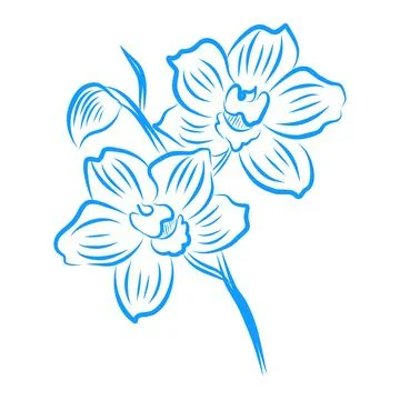 Hand drawn vector illustration, beautiful flowers, blue line art Illustration
