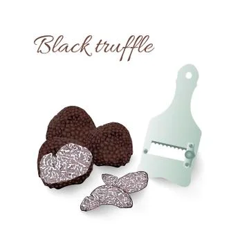 Hand drawn vector illustration of black truffles mushrooms and slicer Stock Illustration