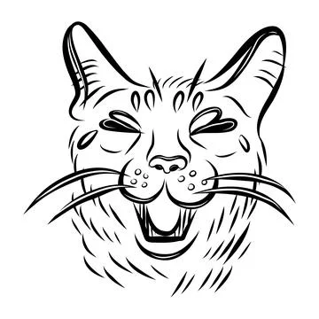 Hand drawn vector illustration of a cat portrait with different emotions, b.. Illustrazione stock