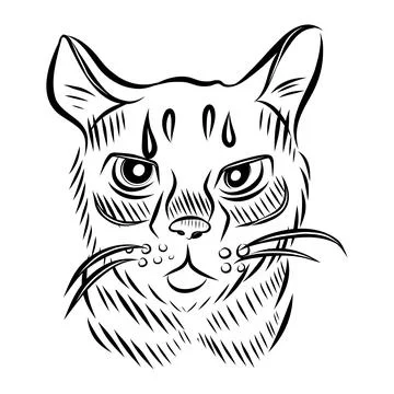 Hand drawn vector illustration of a cat portrait with different emotions, bla Illustration
